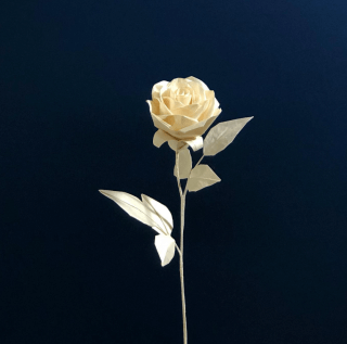 AKOMEYA 美濃紙暮らし十貨